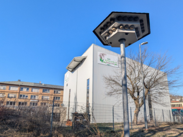 Auf dem Gelände der Sektion Siegerland des Deutschen Alpenvereins (DAV) in der Siegener Eintracht gibt es ab sofort einen neuen Brutplatz für Mehlschwalben. (Foto: Stadt Siegen)