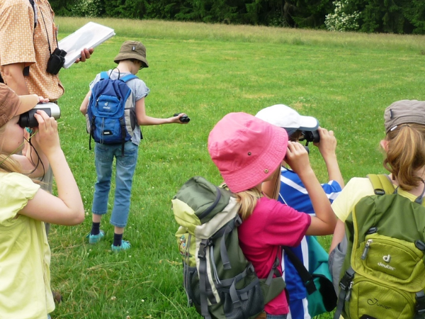 Kinder bei einer Naturprofi-Aktion im Rahmen des "Siegener Naturprofis" (Foto: Stadt Siegen)