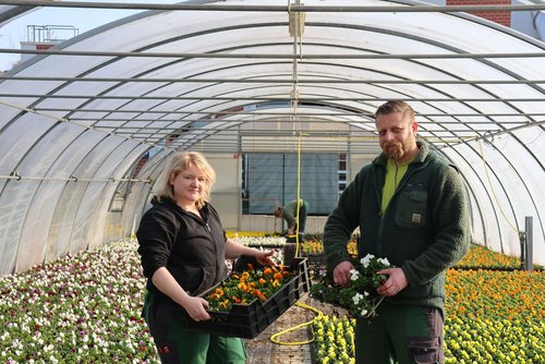 Vorarbeiterin Selina Schepp und Christian Sartor, Leiter der Stadtgärtnerei, präsentieren die neuen Frühjahrsblüher. (Foto: Stadt Siegen)