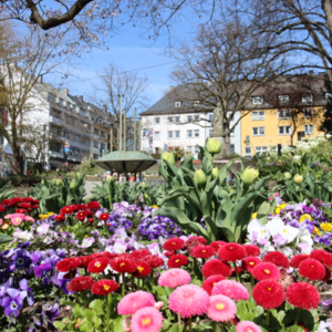 Alfred-Fissmer-Anlage, Foto: Stadt Siegen