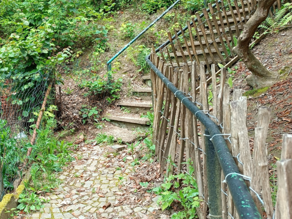 Der alte Treppenweg in der Hengsbachstraße ist nicht mehr verkehrssicher und wird daher von der Stadt ausgebaut. (Foto: Stadt Siegen)