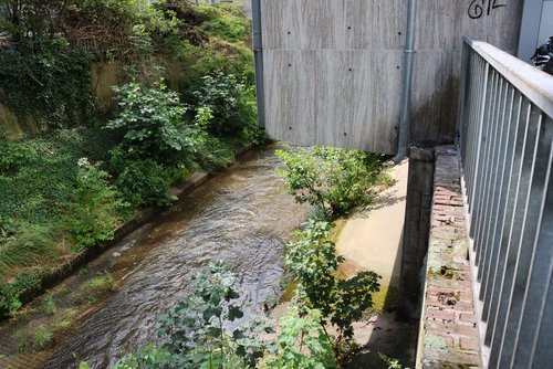 In den kommenden Monaten wird die Weiß auf einer Länge von rund 100 Metern naturnah umgestaltet. (Foto: Stadt Siegen)