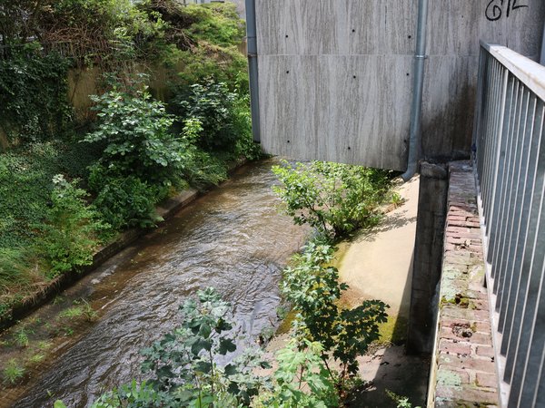 In den kommenden Monaten wird die Weiß auf einer Länge von rund 100 Metern naturnah umgestaltet. (Foto: Stadt Siegen)
