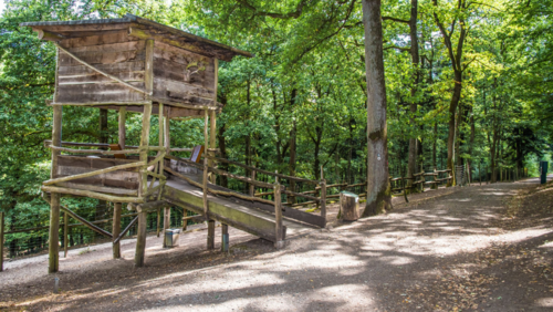 Blick in den Erlebniswald Historischer Tiergarten (Foto: Stadt Siegen)