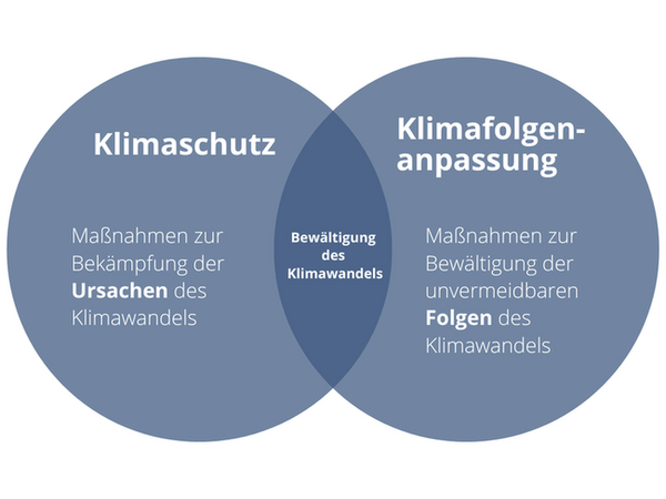 Klimafolgenanpassungskonzept: Klimaschutz (Maßnahmen zur Bekämpfung der Ursachen des Klimawandels) und Klimafolgenanpassung (Maßnahmen zur Bewältigung der unvermeidbaren Folgen des Klimawandels), Querschnitt: Bewältigung des Klimawandels