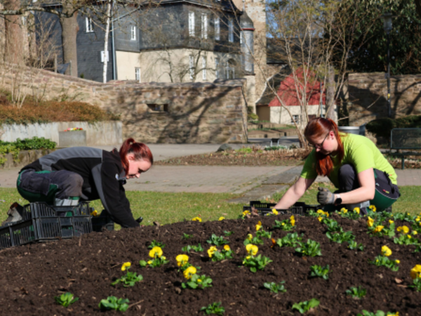 Maßarbeit im Schlosspark: Mitarbeiterinnen der städtischen Grünflächenabteilung bepflanzen die Beete sorgfältig nach einem Musterplan. (Foto: Stadt Siegen)