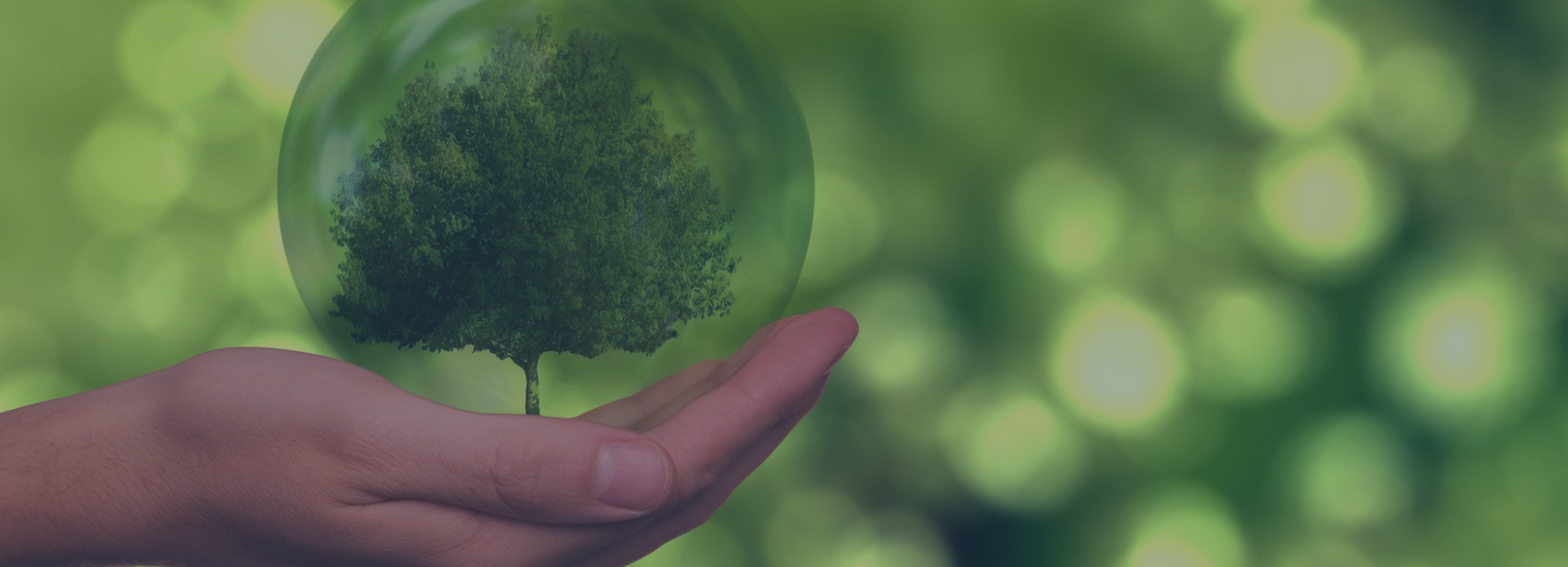 Symbolfoto Umwelt und Klima (Foto: www.pixabay.com)