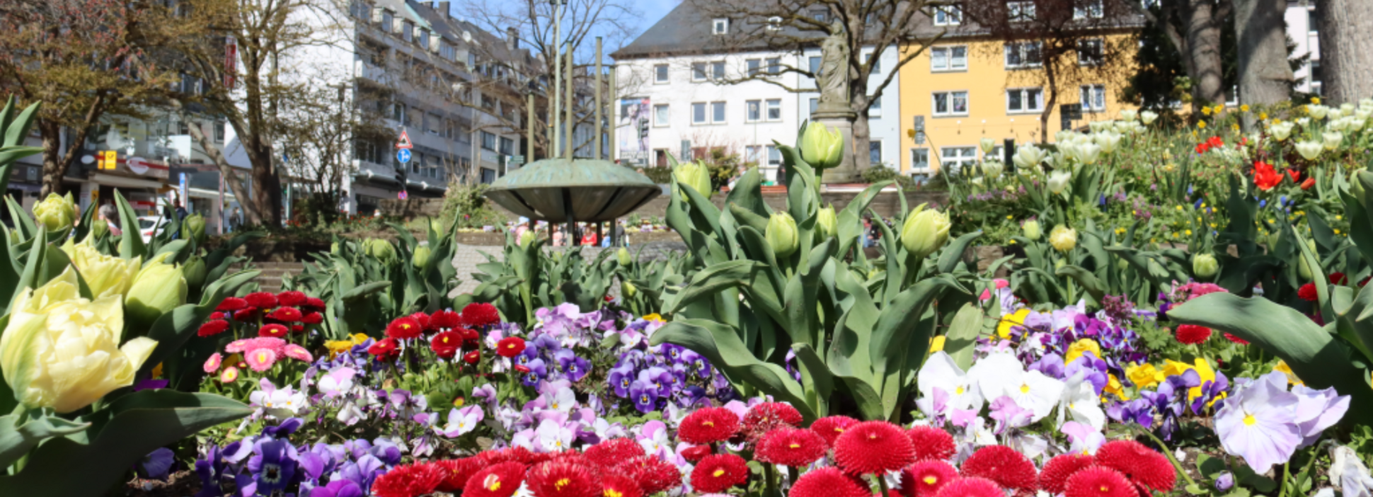 Blick in die Alfred-Fissmer-Anlage, Foto: Stadt Siegen