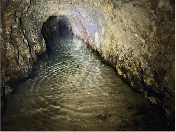 Ehemalige Stollenanlage im Giebelwald. (Foto: Leander Wilhelm Kühn)