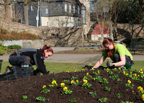 Maßarbeit im Schlosspark: Mitarbeiterinnen der städtischen Grünflächenabteilung bepflanzen die Beete sorgfältig nach einem Musterplan. (Foto: Stadt Siegen)