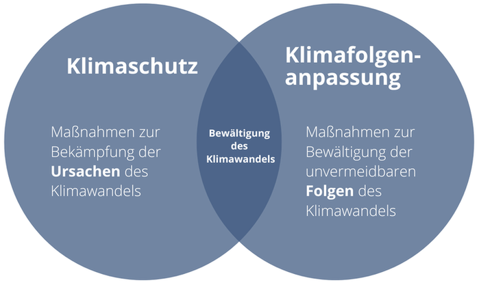 Klimafolgenanpassungskonzept: Klimaschutz (Maßnahmen zur Bekämpfung der Ursachen des Klimawandels) und Klimafolgenanpassung (Maßnahmen zur Bewältigung der unvermeidbaren Folgen des Klimawandels), Querschnitt: Bewältigung des Klimawandels